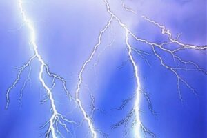 Brain-Challenge-Flash Geben-Kühe-immer-Milch