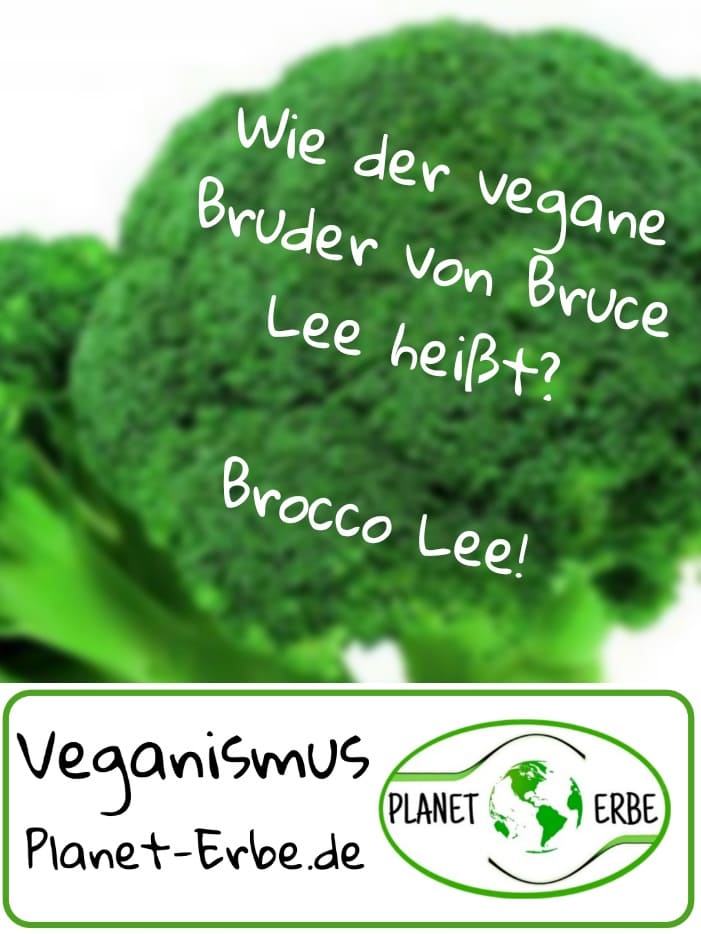Der vegane Bruder von Bruce Lee heißt Brocco Lee