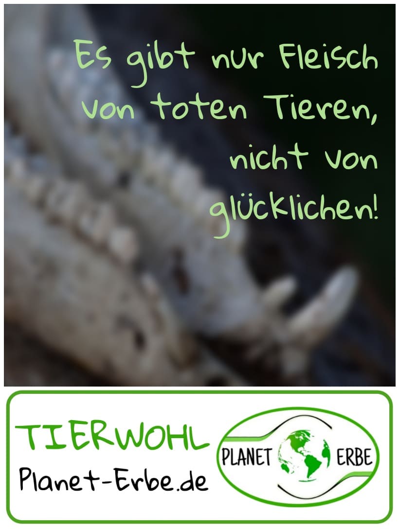 •	Es gibt nur Fleisch von toten Tieren, nicht von glücklichen!