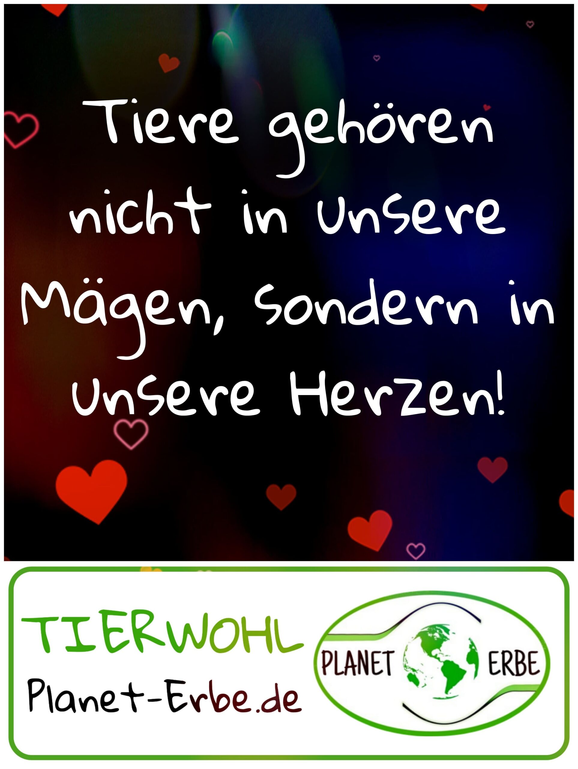 •	Tiere gehören nicht in unsere Mägen, sondern in unsere Herzen!