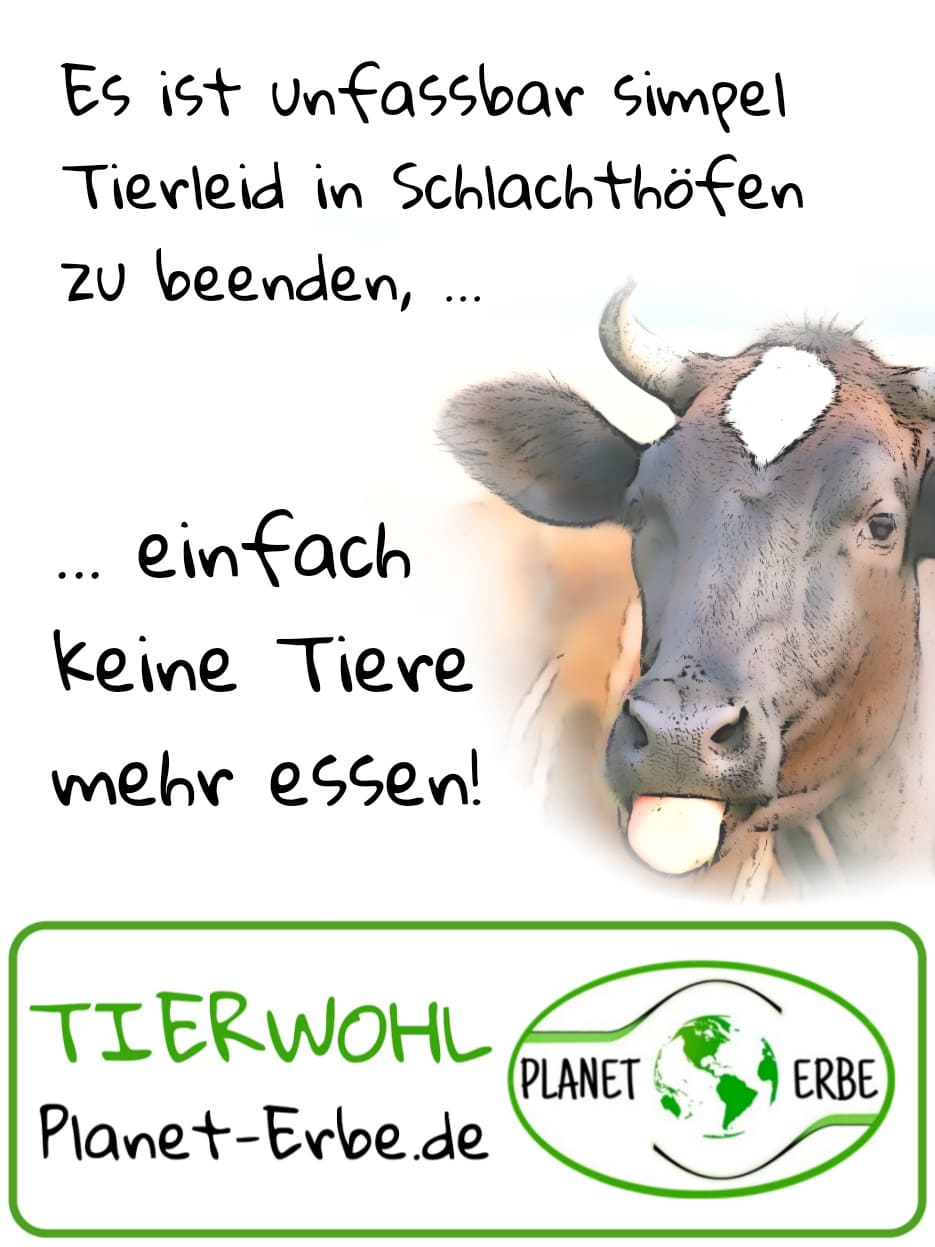 Es ist einfach Tierleid in Schlachthäusern zu beenden. Einfach kein Fleisch mehr essen!