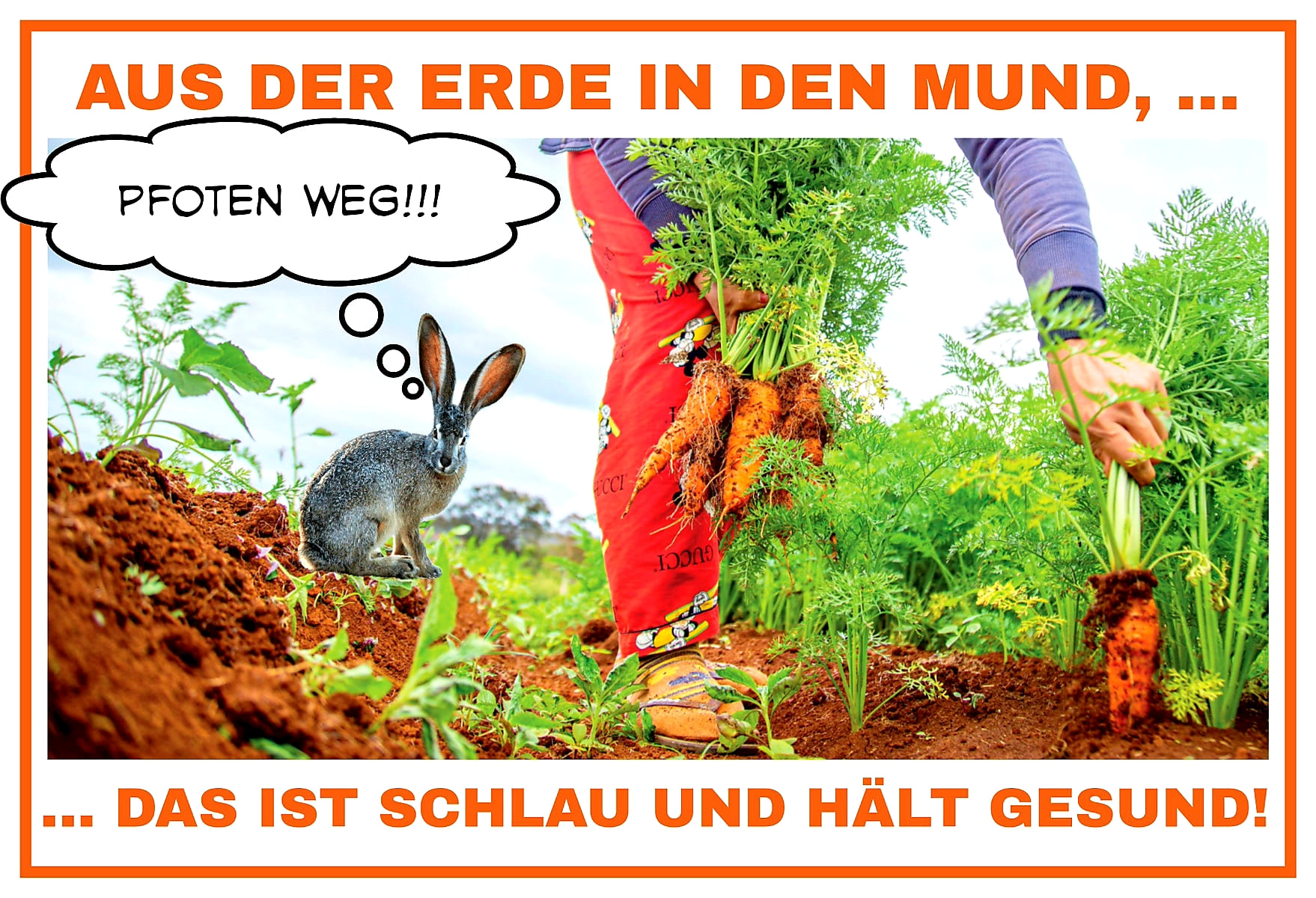 Aus der Erde in den Mund, das ist schlau und ist gesund!