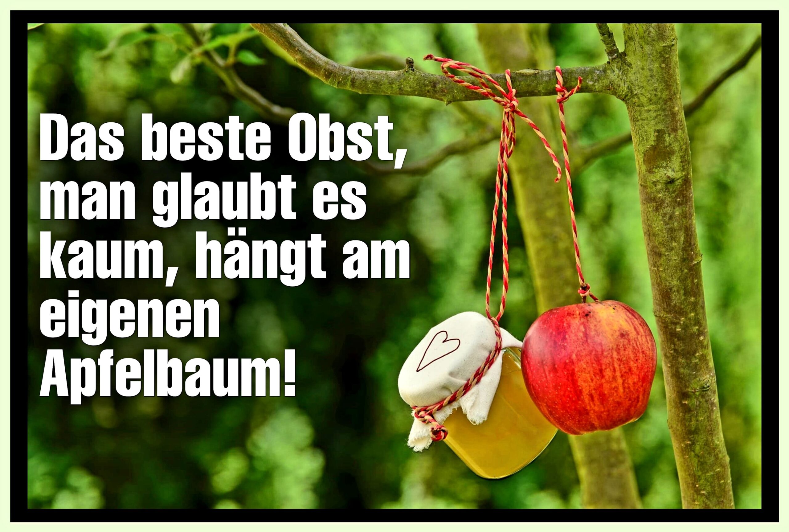 Das beste Obst, man glaubt es kaum, hängt am eignen Apfelbaum!