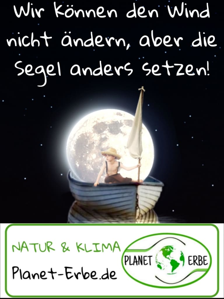 Wir können den Wind nicht ändern, aber die Segel anders setzen