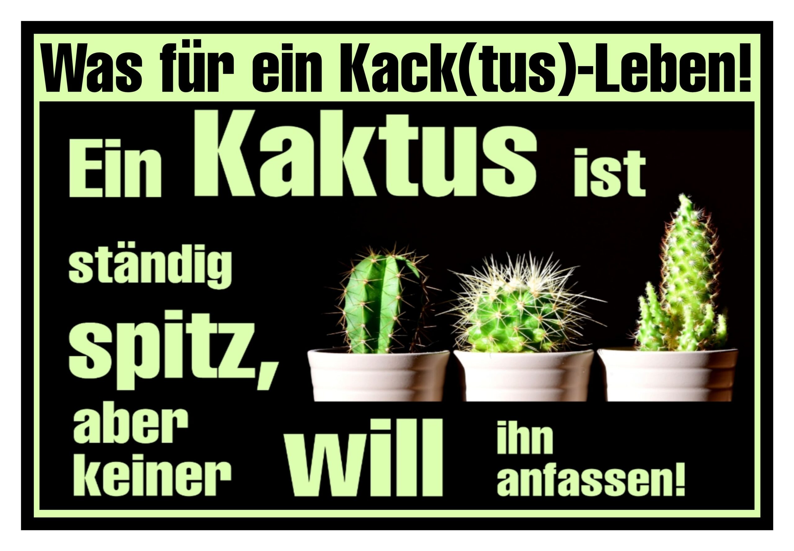 Kacktusleben